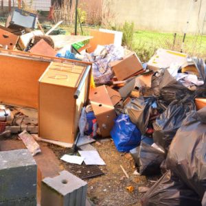 Garbage dump in the backyard of the house.